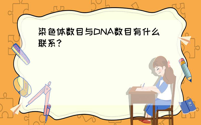 染色体数目与DNA数目有什么联系?