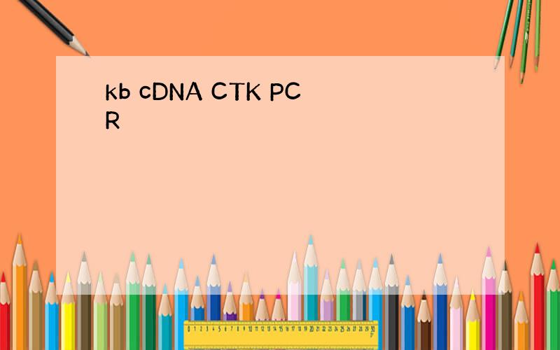 kb cDNA CTK PCR