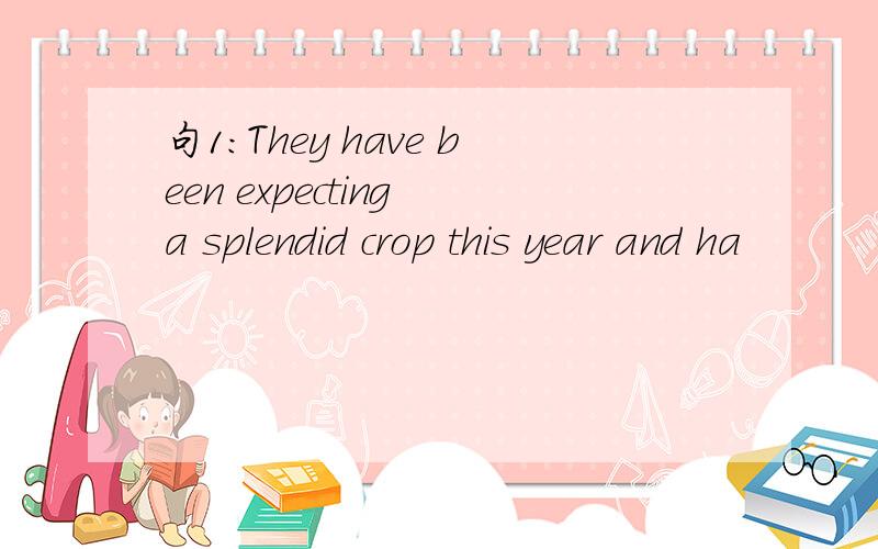 句1：They have been expecting a splendid crop this year and ha