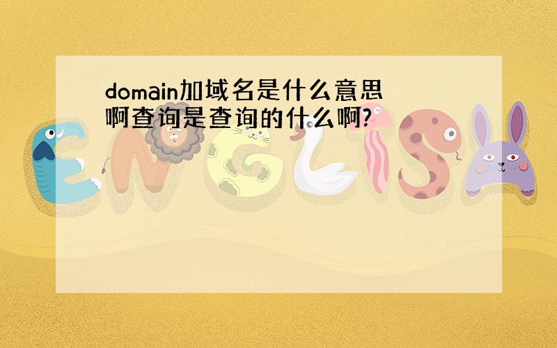 domain加域名是什么意思啊查询是查询的什么啊?