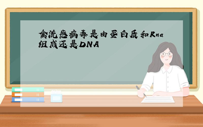 禽流感病毒是由蛋白质和Rna组成还是DNA