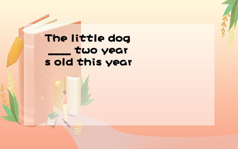 The little dog ____ two years old this year
