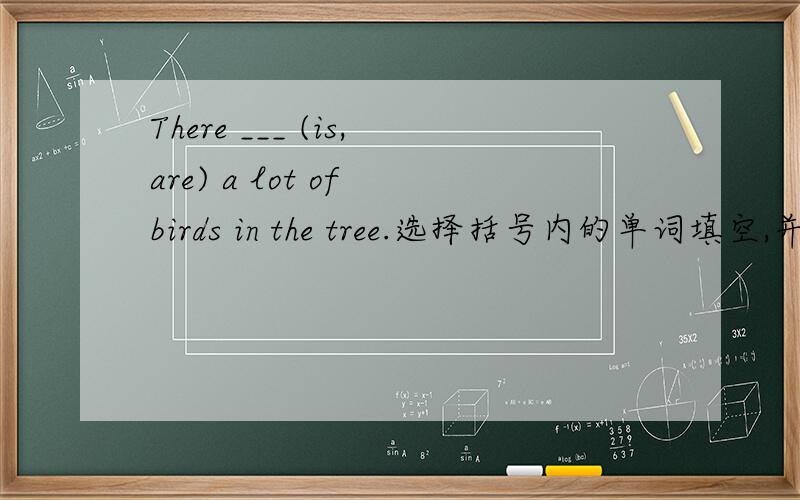 There ___ (is,are) a lot of birds in the tree.选择括号内的单词填空,并说明