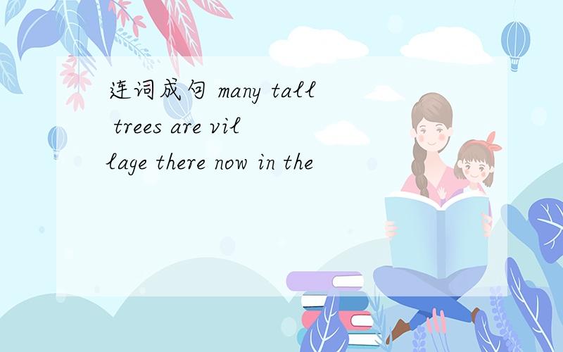 连词成句 many tall trees are village there now in the