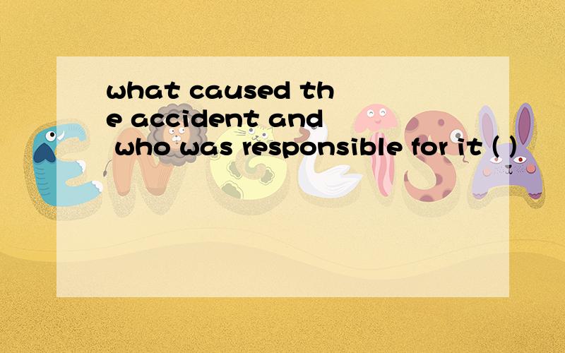 what caused the accident and who was responsible for it ( )