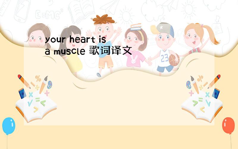 your heart is a muscle 歌词译文