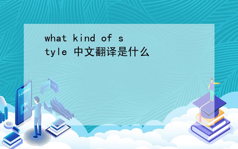 what kind of style 中文翻译是什么