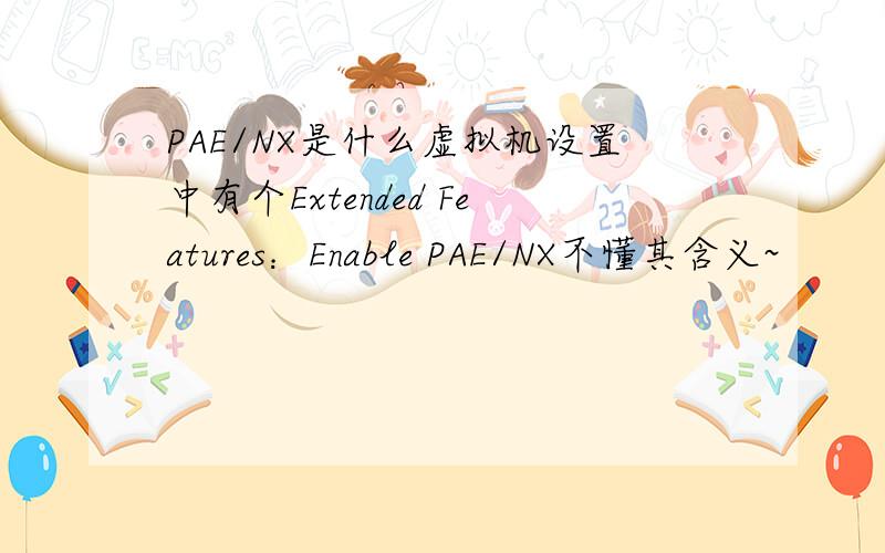 PAE/NX是什么虚拟机设置中有个Extended Features：Enable PAE/NX不懂其含义~