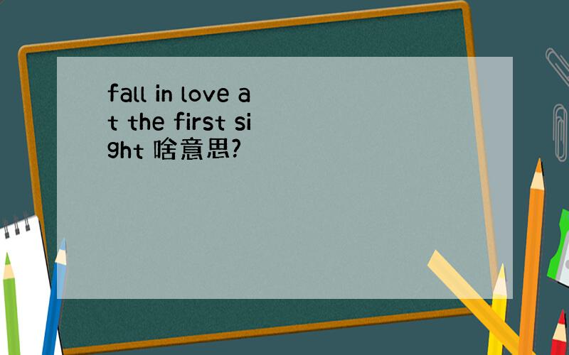 fall in love at the first sight 啥意思?