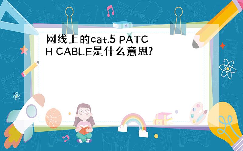 网线上的cat.5 PATCH CABLE是什么意思?