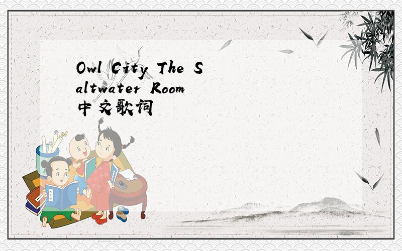 Owl City The Saltwater Room 中文歌词