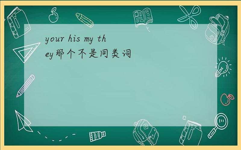 your his my they那个不是同类词