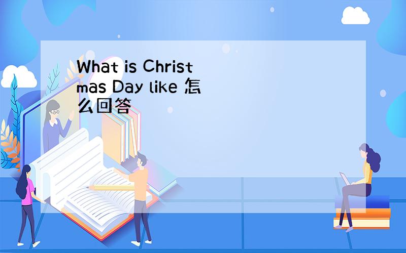 What is Christmas Day like 怎么回答