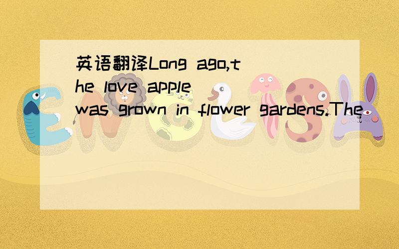 英语翻译Long ago,the love apple was grown in flower gardens.The