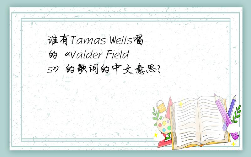 谁有Tamas Wells唱的《Valder Fields》的歌词的中文意思?