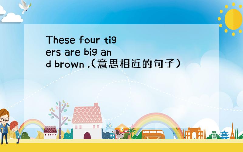 These four tigers are big and brown .(意思相近的句子)