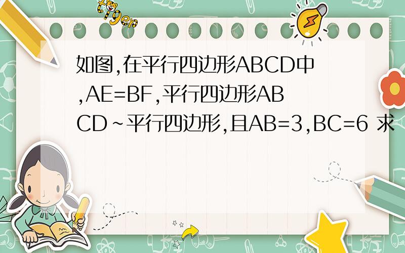 如图,在平行四边形ABCD中,AE=BF,平行四边形ABCD∽平行四边形,且AB=3,BC=6 求