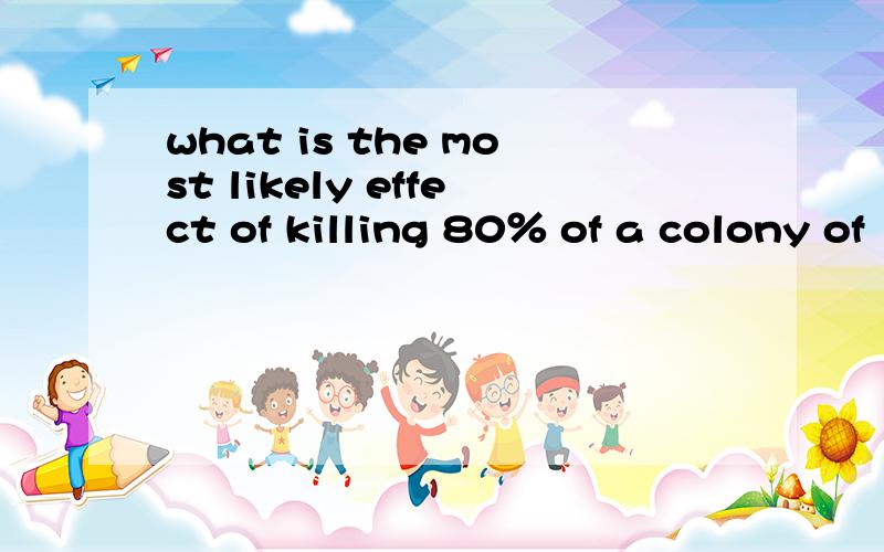 what is the most likely effect of killing 80％ of a colony of