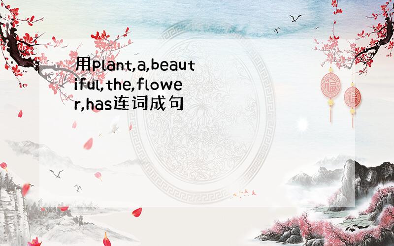 用plant,a,beautiful,the,flower,has连词成句