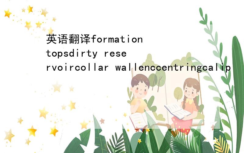 英语翻译formation topsdirty reservoircollar wallenccentringcalip