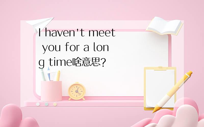 I haven't meet you for a long time啥意思?