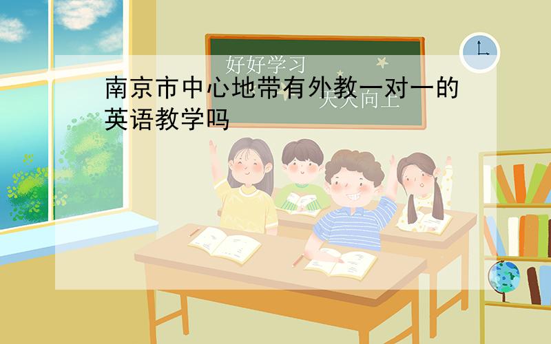 南京市中心地带有外教一对一的英语教学吗