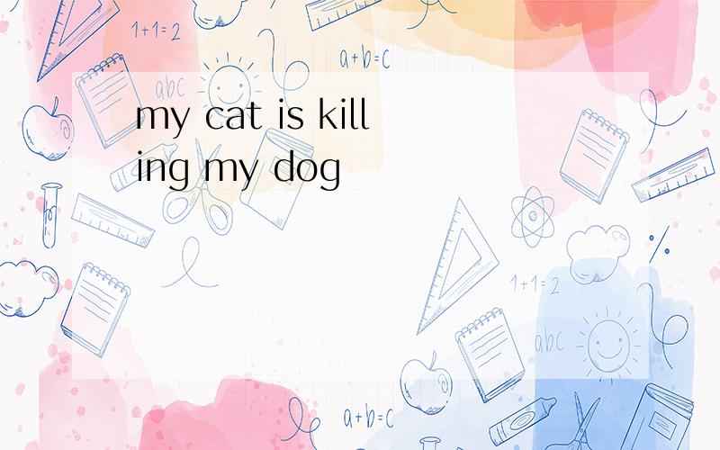 my cat is killing my dog