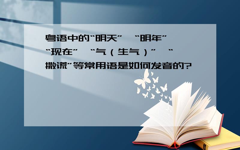粤语中的“明天”、“明年”、“现在”、“气（生气）”、“撒谎”等常用语是如何发音的?