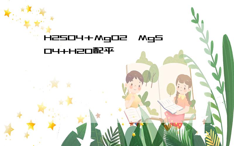 H2SO4＋MgO2—MgSO4+H2O配平