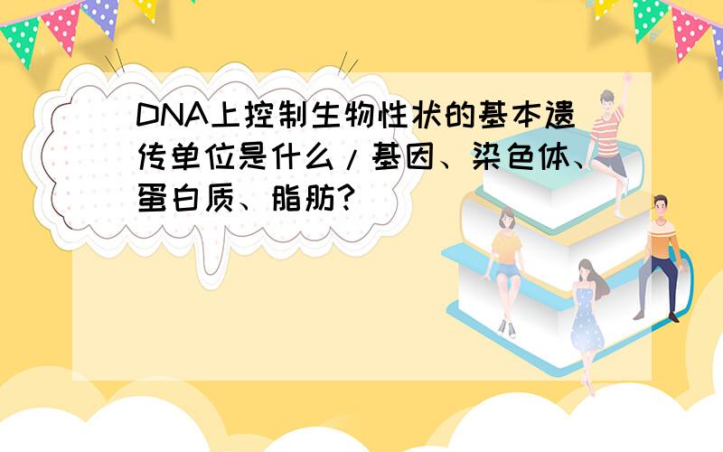DNA上控制生物性状的基本遗传单位是什么/基因、染色体、蛋白质、脂肪?