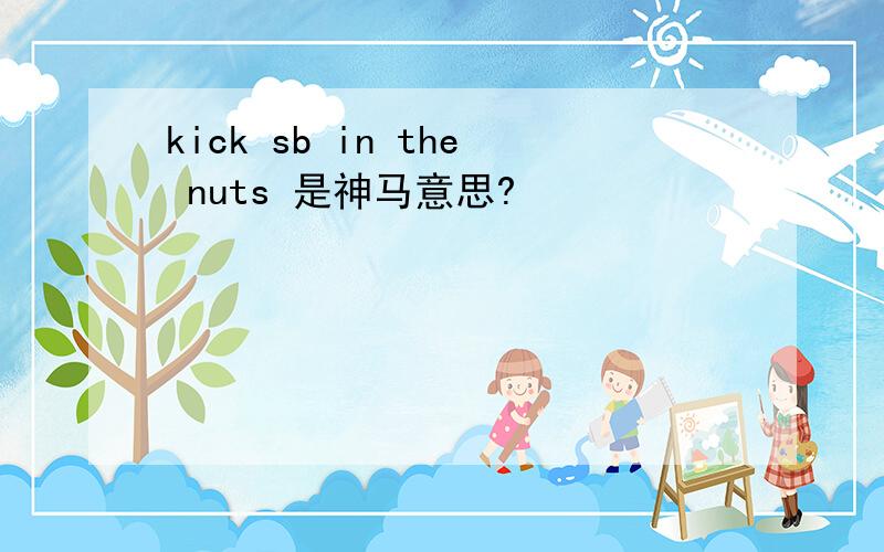 kick sb in the nuts 是神马意思?
