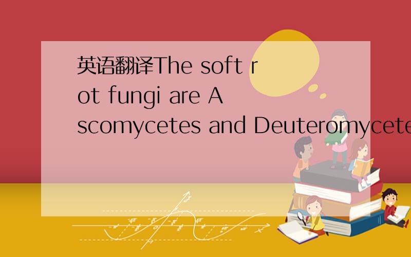 英语翻译The soft rot fungi are Ascomycetes and Deuteromycetes th