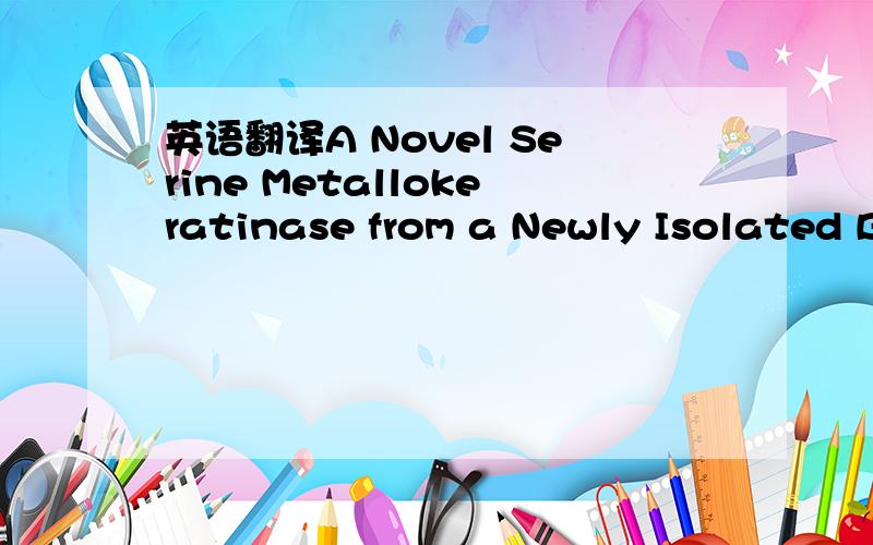 英语翻译A Novel Serine Metallokeratinase from a Newly Isolated B
