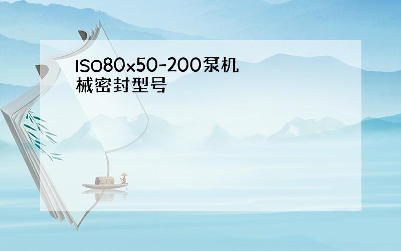 ISO80x50-200泵机械密封型号