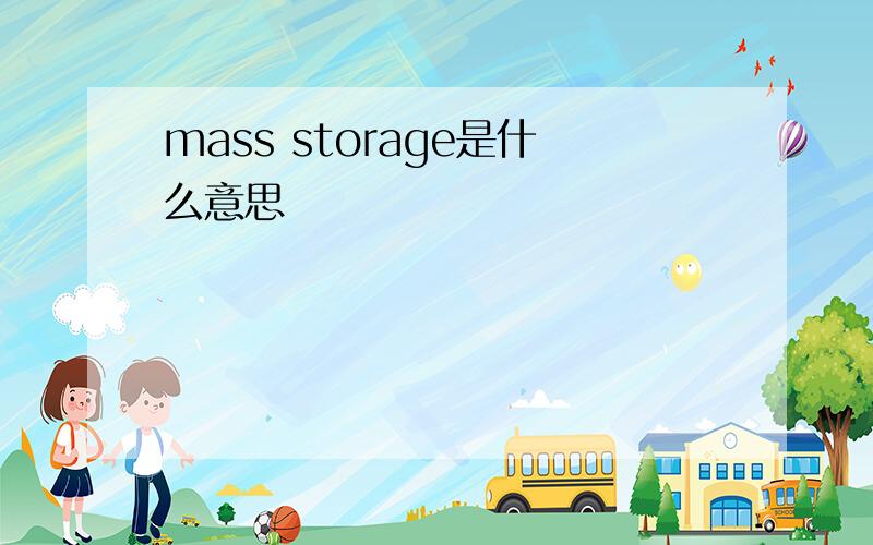 mass storage是什么意思