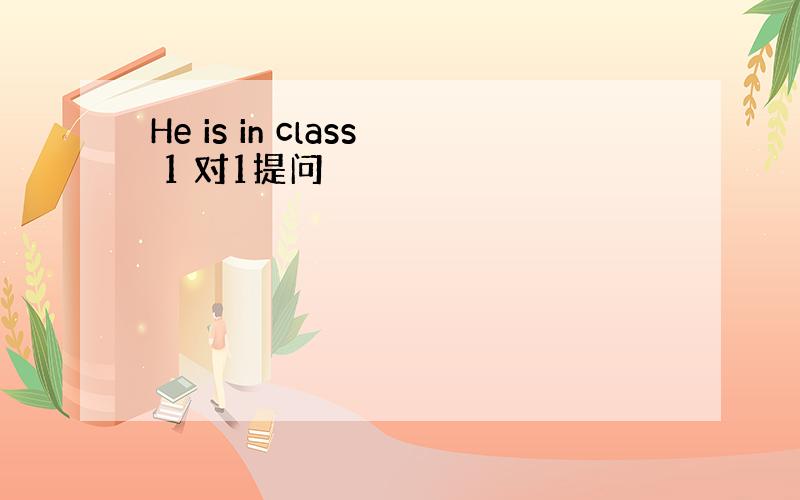 He is in class 1 对1提问