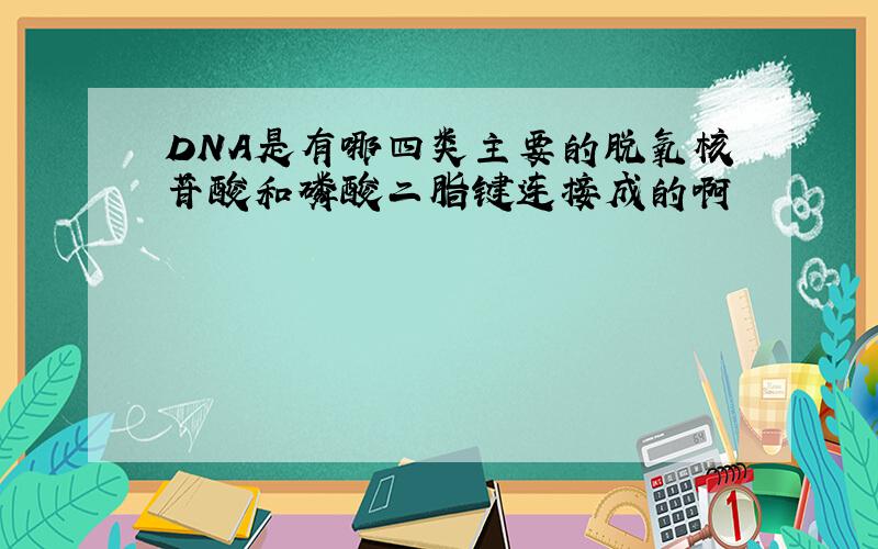 DNA是有哪四类主要的脱氧核苷酸和磷酸二脂键连接成的啊