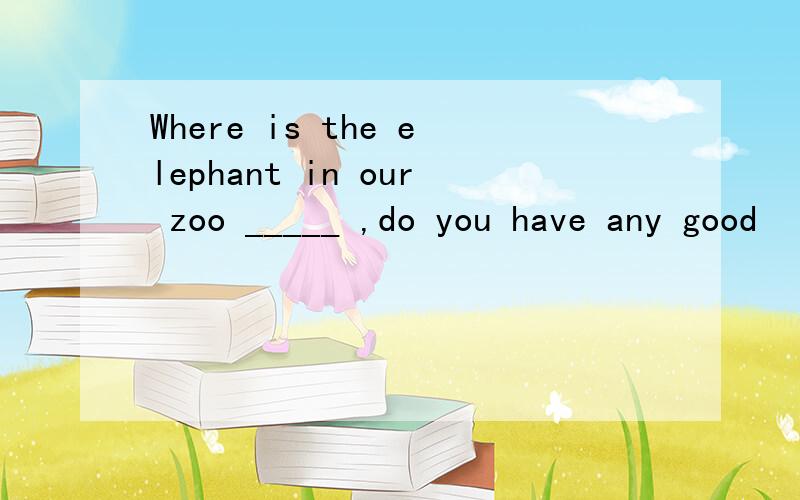 Where is the elephant in our zoo _____ ,do you have any good