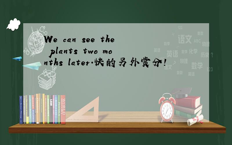 We can see the plants two months later.快的另外赏分!