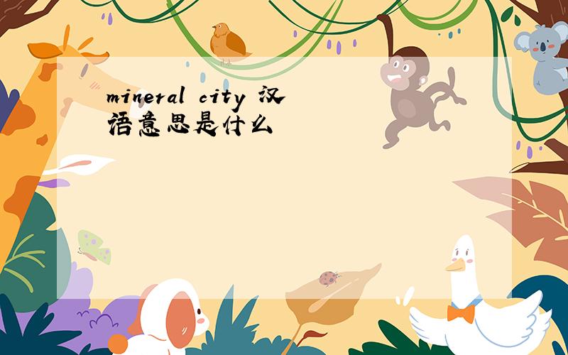 mineral city 汉语意思是什么