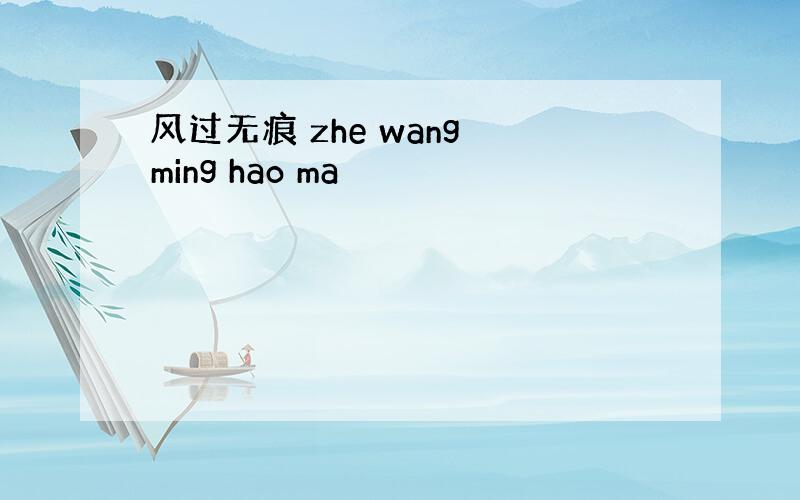 风过无痕 zhe wang ming hao ma