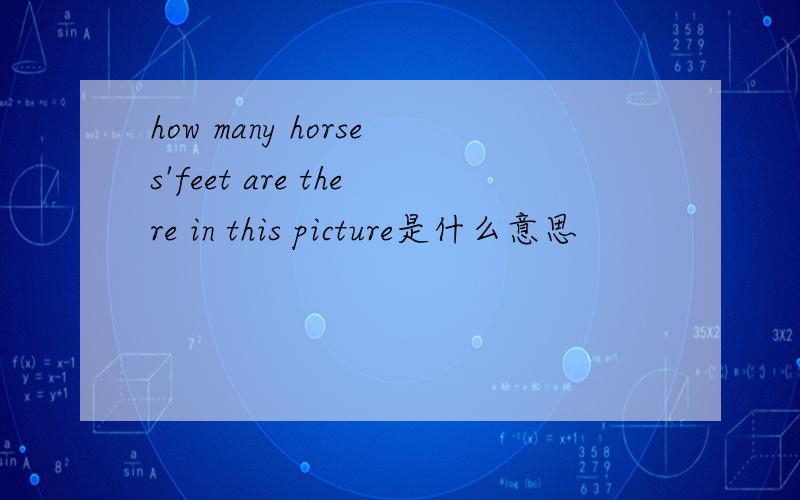 how many horses'feet are there in this picture是什么意思