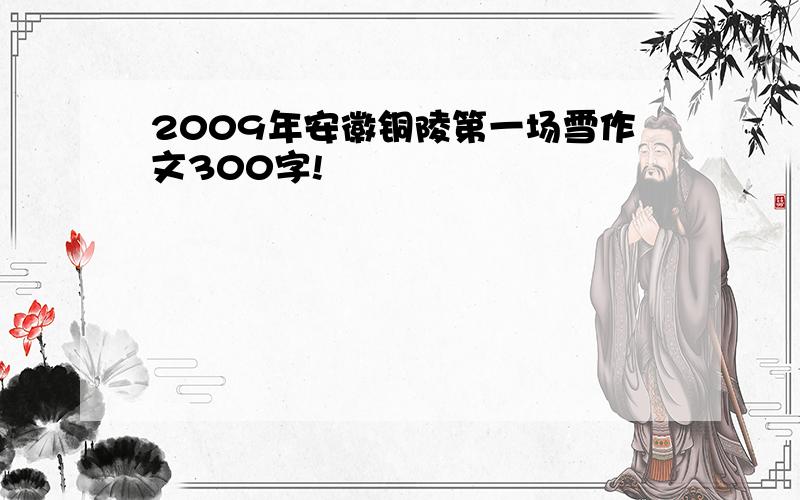 2009年安徽铜陵第一场雪作文300字!
