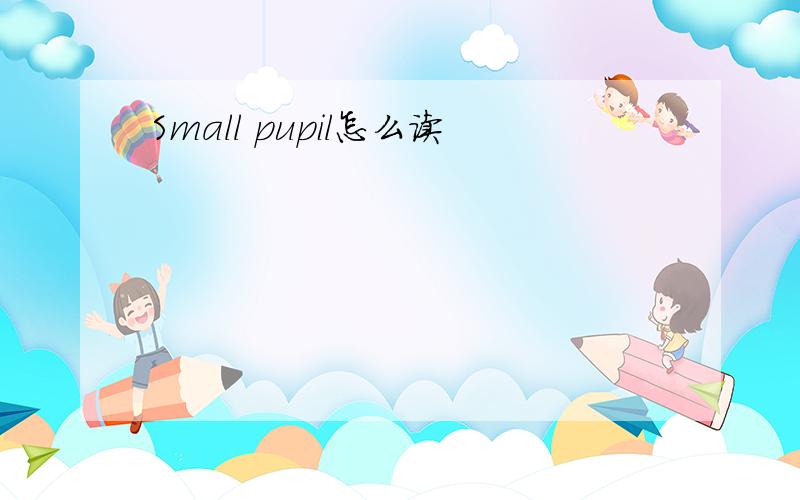 Small pupil怎么读