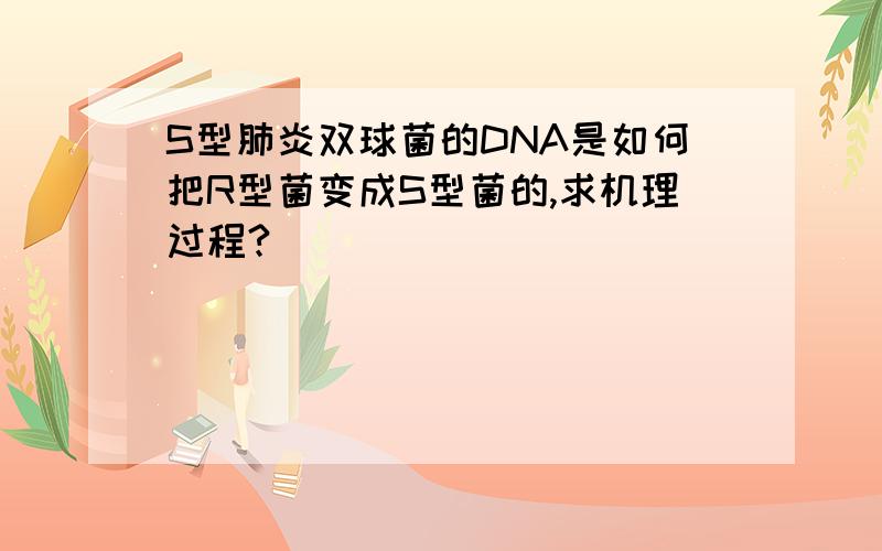 S型肺炎双球菌的DNA是如何把R型菌变成S型菌的,求机理过程?