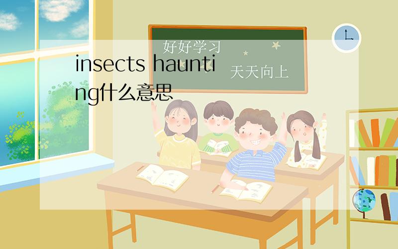 insects haunting什么意思