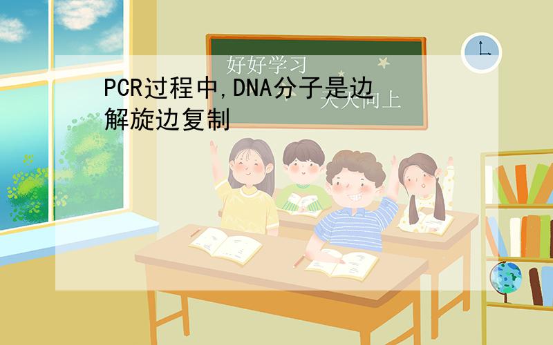 PCR过程中,DNA分子是边解旋边复制