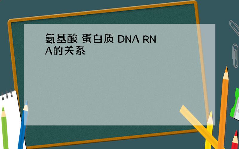 氨基酸 蛋白质 DNA RNA的关系