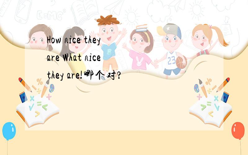 How nice they are What nice they are!哪个对?