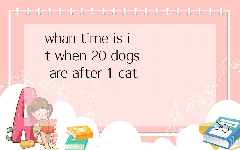 whan time is it when 20 dogs are after 1 cat